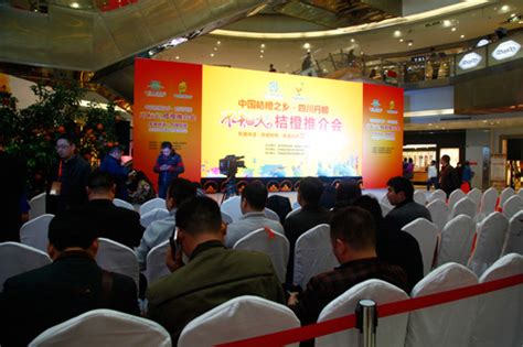成都品牌營銷推廣大全 整合資源，引爆市場(chǎng)